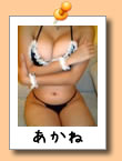 �s�u�`���b�g �i�r�Ől�C�}�㏸�I